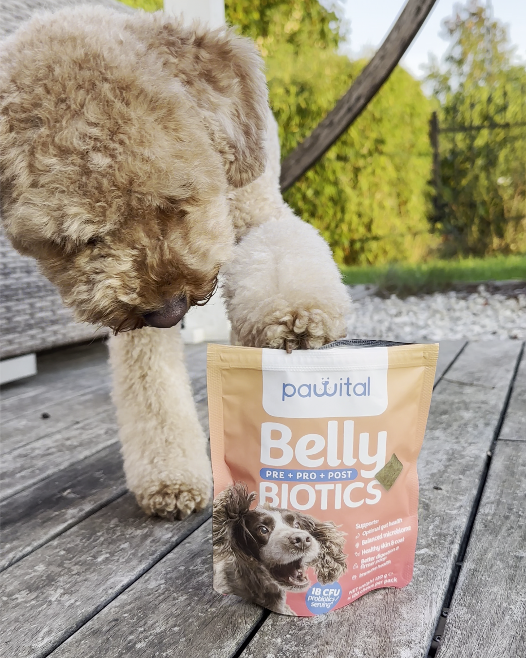 Belly Biotics probiotični priboljški za pse pomagajo urediti prebavo, mehko blato, lizanje tačke ...