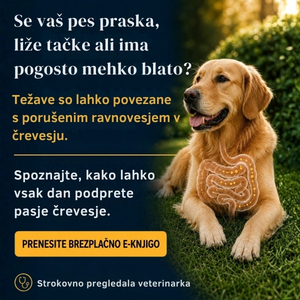 Pawital e-book