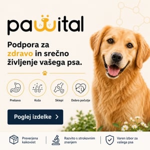 Pawital dopolnila za pse